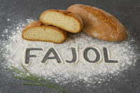 R&uacute;stica vigatana de Fajol